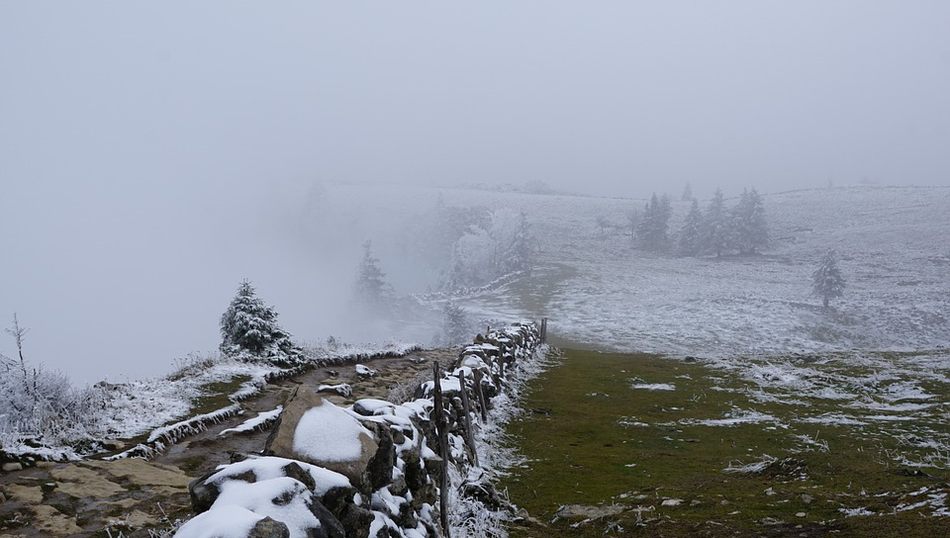 La matriz del invierno  