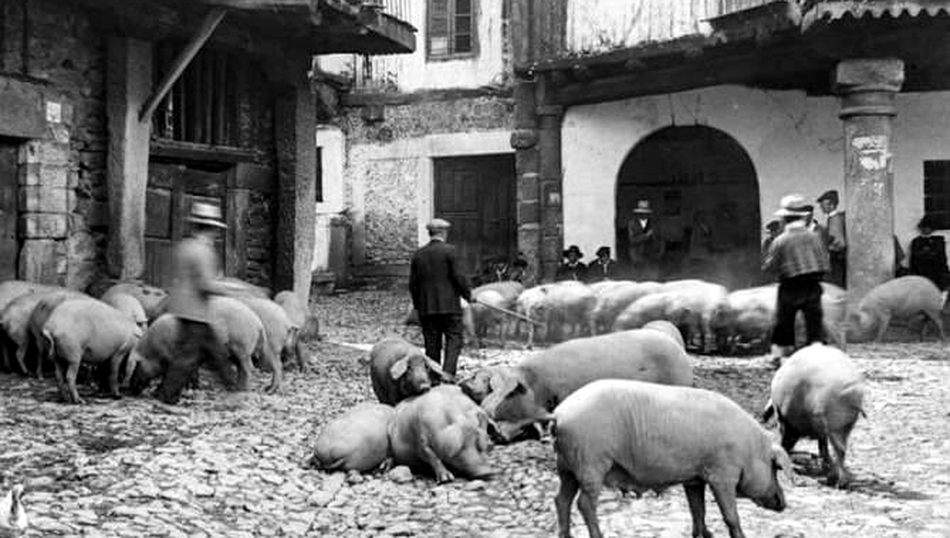 ¡¡¡¿En qué país vivimos?!!!  