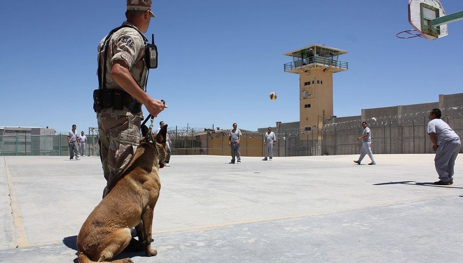 Ocultando la realidad con la prisión permanente revisable