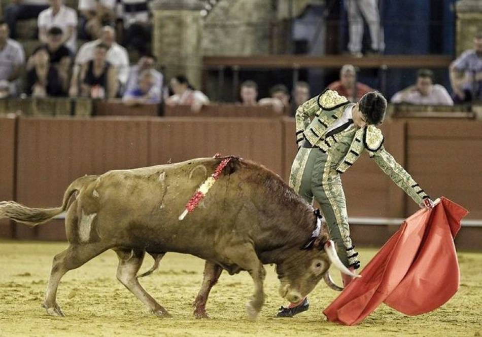 El novillero de La Fuente de San Esteban, David Salvador