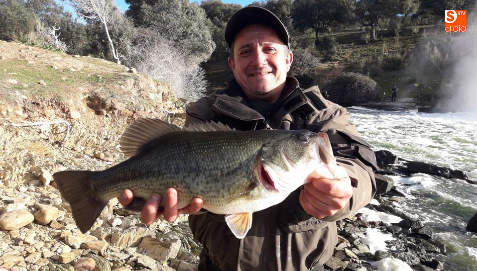 Excelente Black bass