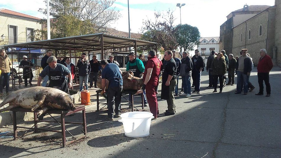 La plaza Mayor volverá a ser escenario de la fiesta matancera