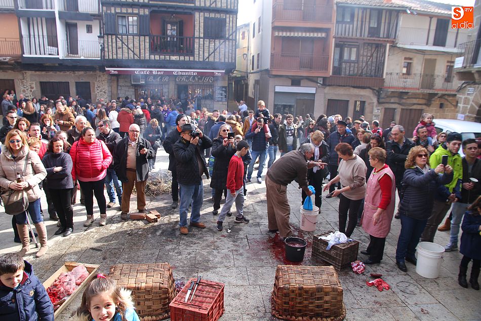 El público disfrutará de la fiesta matancera como manda la tradición