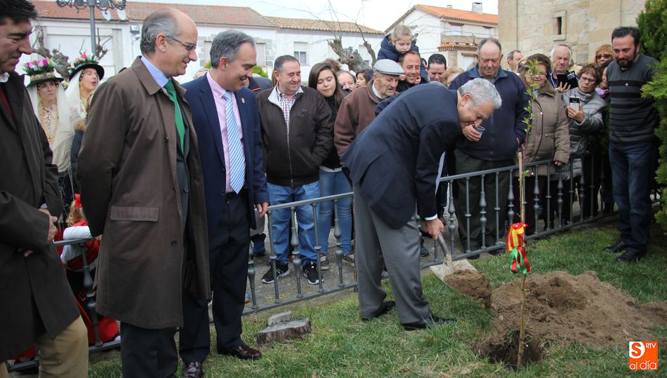 La plantación de un almendro, acto simbólico de esta fiesta
