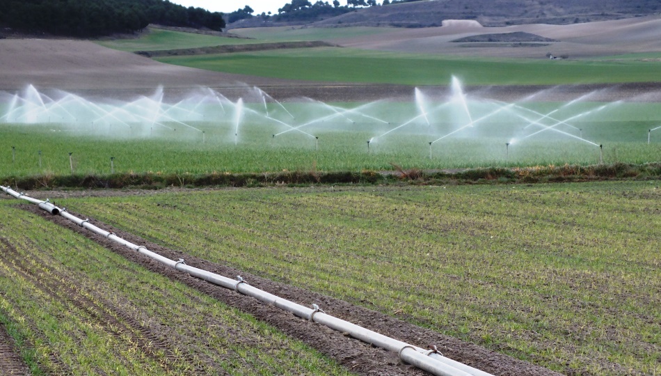 Aspersores funcionando en un campo de cultivo de Castilla y León