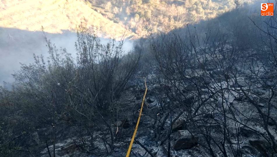 Los bomberos sofocan un incendio en el término El Montito, cerca de Escurial de la Sierra  