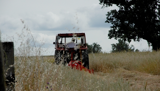 ASAJA pide más medidas para incentivar la titularidad compartida de las explotaciones