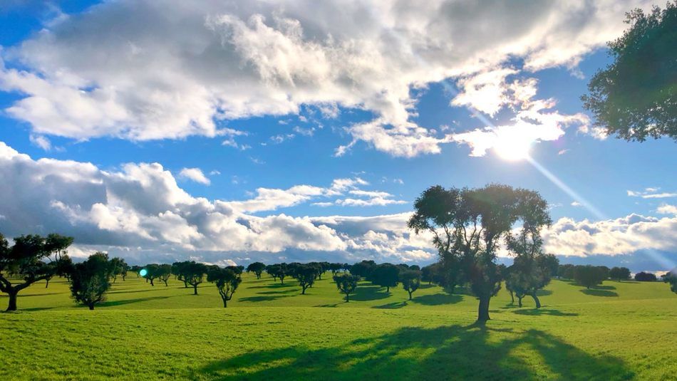 La luz y la eternidad
