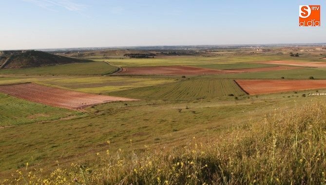 El plazo para solicitar las ayudas PAC, abierto desde el 1 de febrero