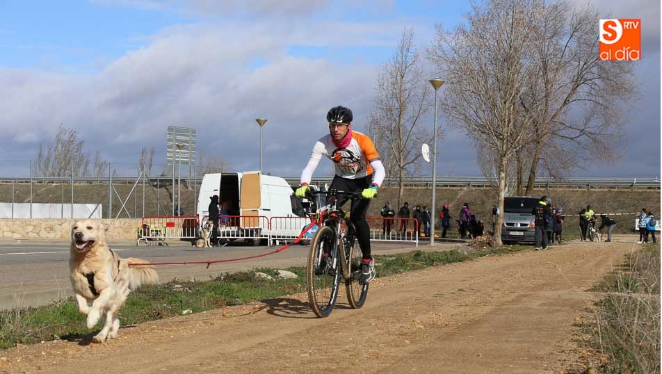 La jornada de Canicross de Santa Marta echa el cierre a la V Liga Provincial
