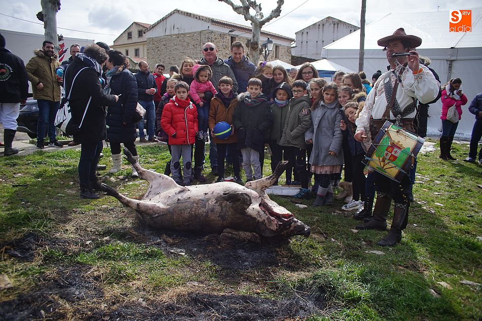 Un soleado sacrificio y una multitudinaria comida despiden la temporada de matanzas