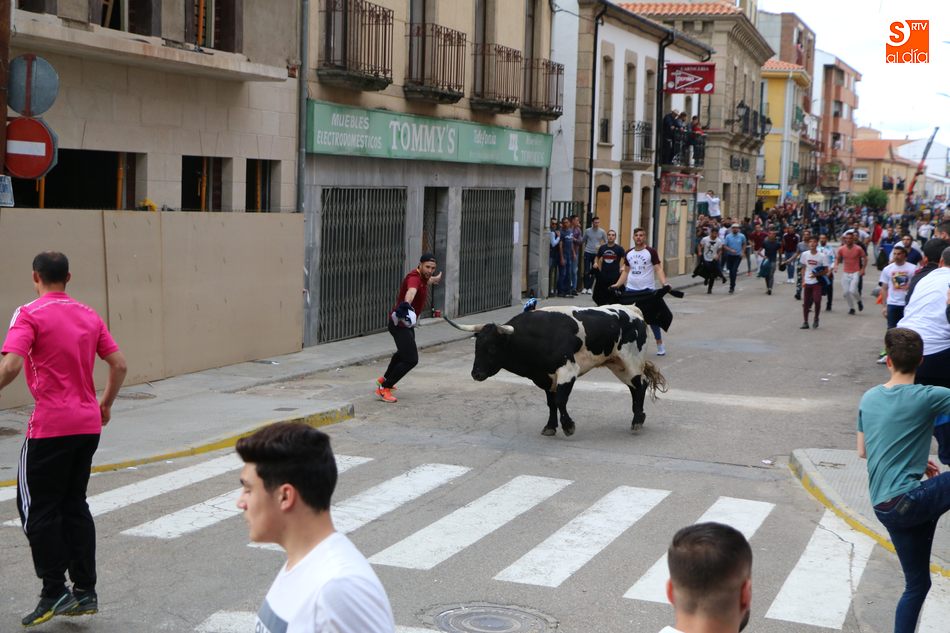 El cuarto Toro de Cajón llena de emoción las calles de Vitigudino  