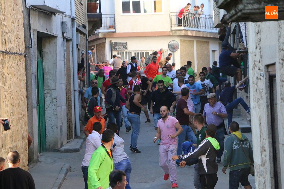 Bonito tercer encierro de Aldeadávila con novillos de Domingo López Chaves  