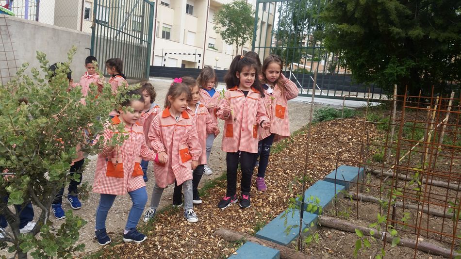 Colegio Antonio Machado: una oferta educativa que se sustenta sobre la persona  