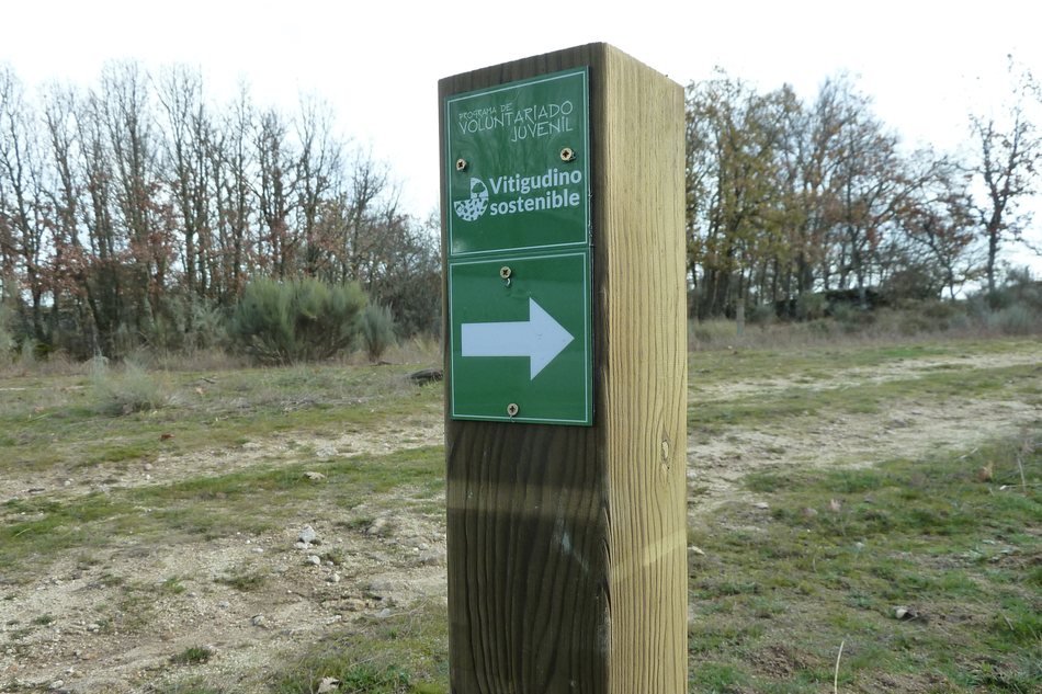  La USAL y la Diputación de Salamanca concluyen el proyecto ‘Vitigudino Sostenible’