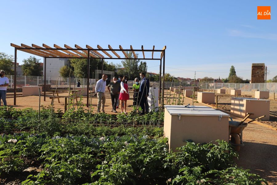 Huertos urbanos de Salamanca
