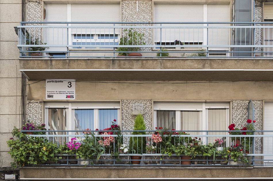 Primer premio del concurso de Balcones de ZOES - Ayto. Salamanca