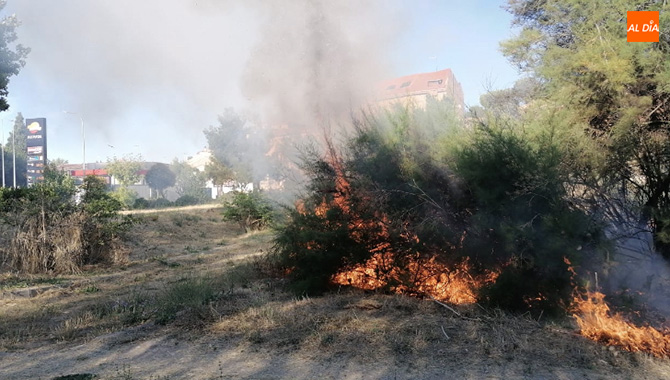 Los bomberos han sofocado un incendio declarado en la carretera de la Fregeneda