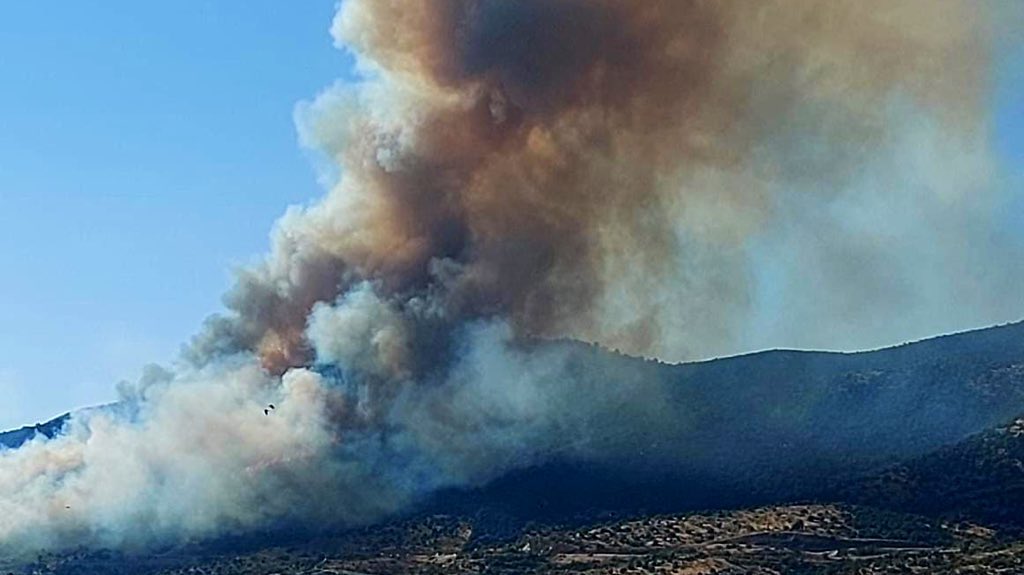 Declarado el nivel 2 de alerta en el incendio declarado en El Tiemblo. Diputación de Ávila