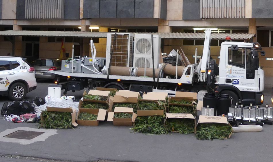 Material y plantas intervenidas en esta operación