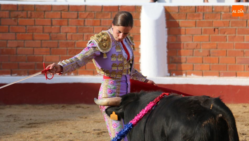 El Ayuntamiento de Vilvestre promociona la miniferia taurina 2021 con un video  