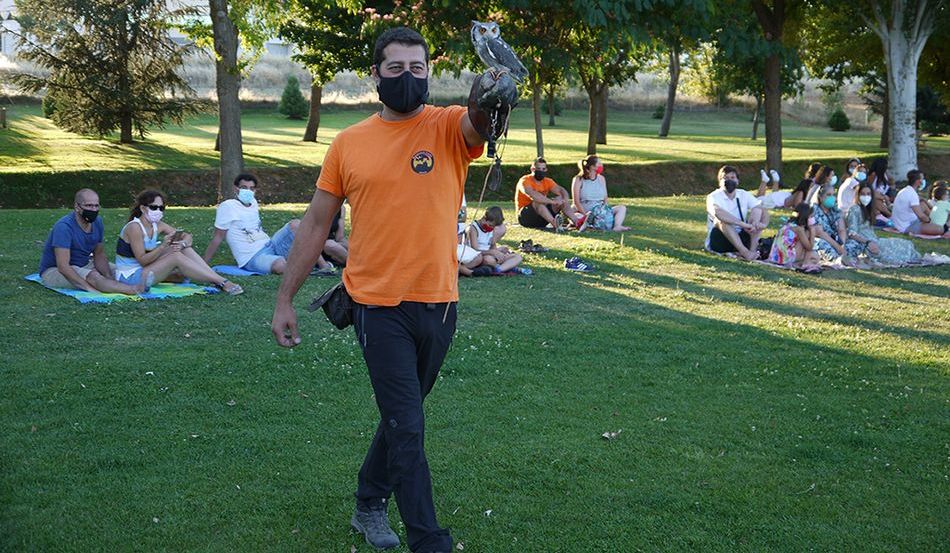 Exhibición de cetrería en Carbajosa de la Sagrada
