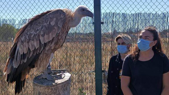 El CEA Lorenzo Milani trabaja diariamente con especies protegidas o en riesgo a través de diferentes acciones formativas para sus alumnos