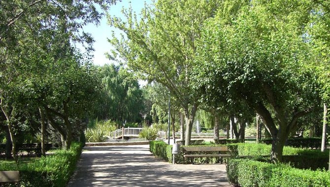 El Parque de los Jesuitas cuenta con la presencia de mas de un centenar de aves diferentes