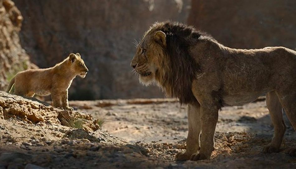 El sábado se proyectará la película EL Rey León, de Jon Favreau
