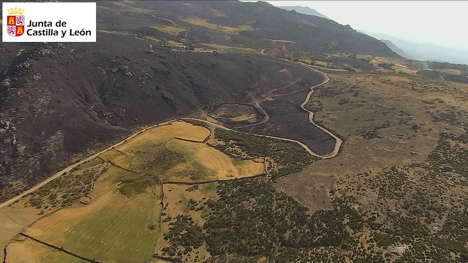 La Junta estima en 22.000 hectáreas la superficie quemada en el fuego de Navalacruz