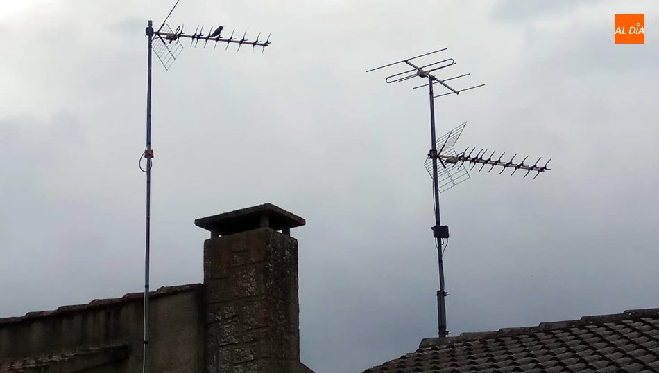 Los vecinos no saban a dónde deben dirigirse para informar de la avería / CORRAL