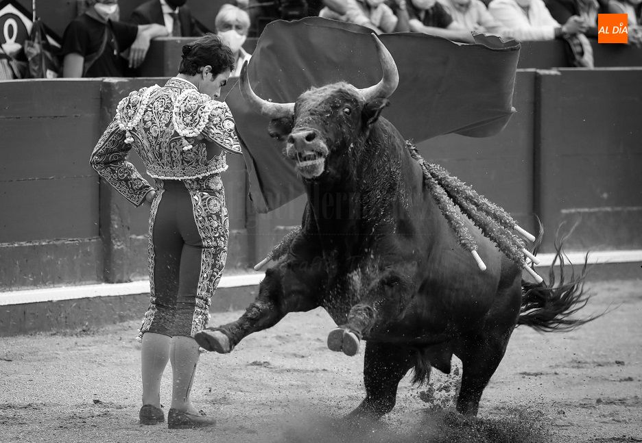 Cuando sobran los motivos