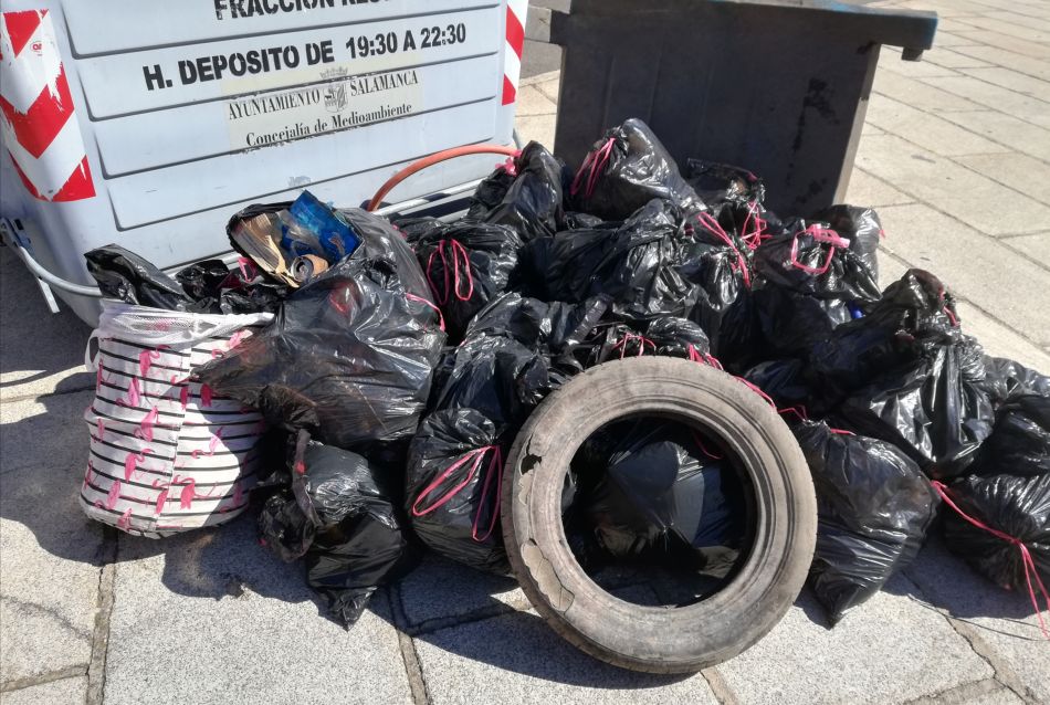 La basura se depositó en contenedores tras la actividad - Voluntarios limpieza