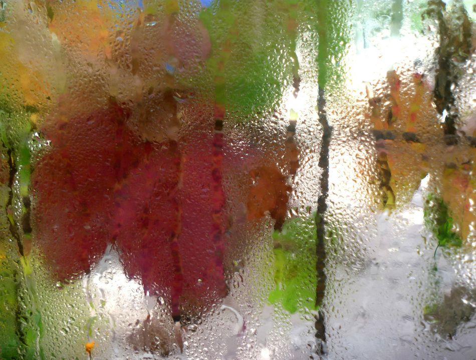 Otoño en la ventana 
