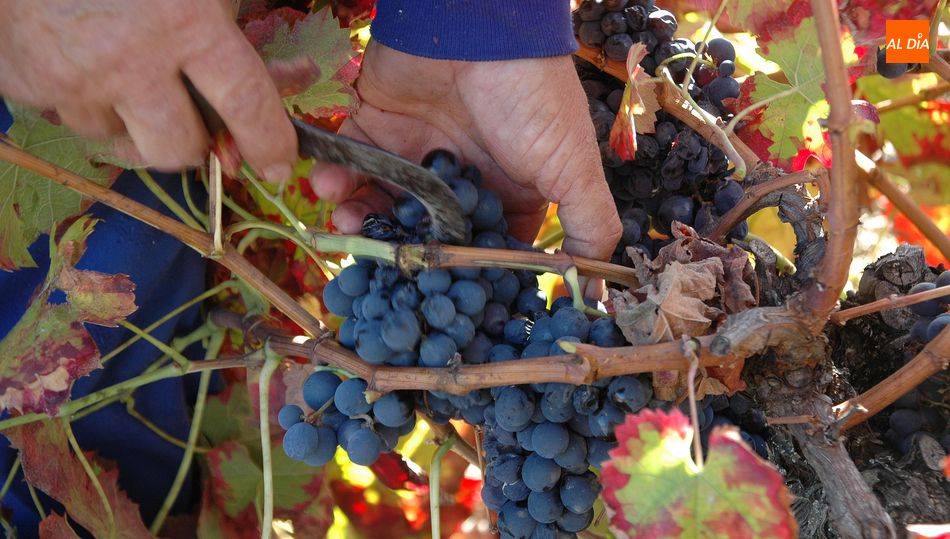 Las elecciones debían haberse celebrado en 2020, pero La Covid-19 lo impidió / CORRAL