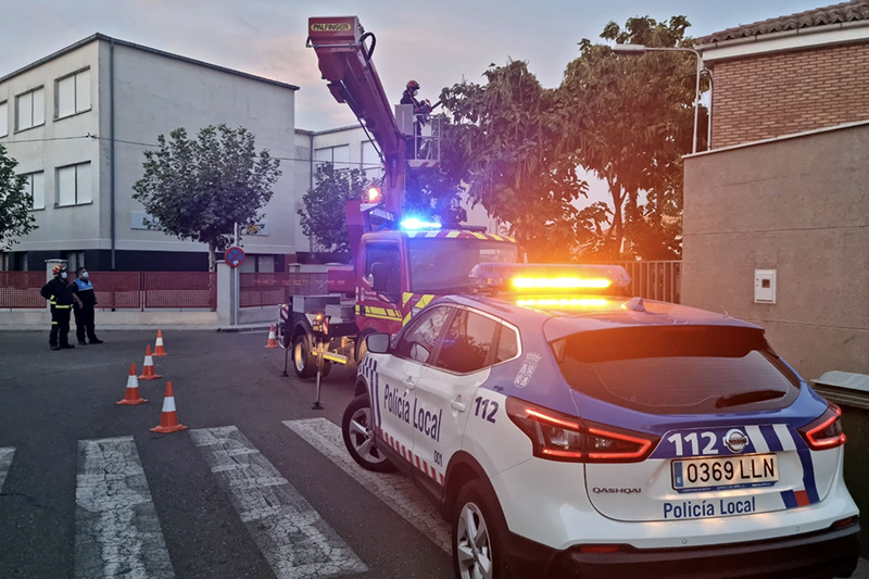 Bomberos y Policía Local de Peñaranda organizaban un operativo para eliminar una pesada rama a punto de caer