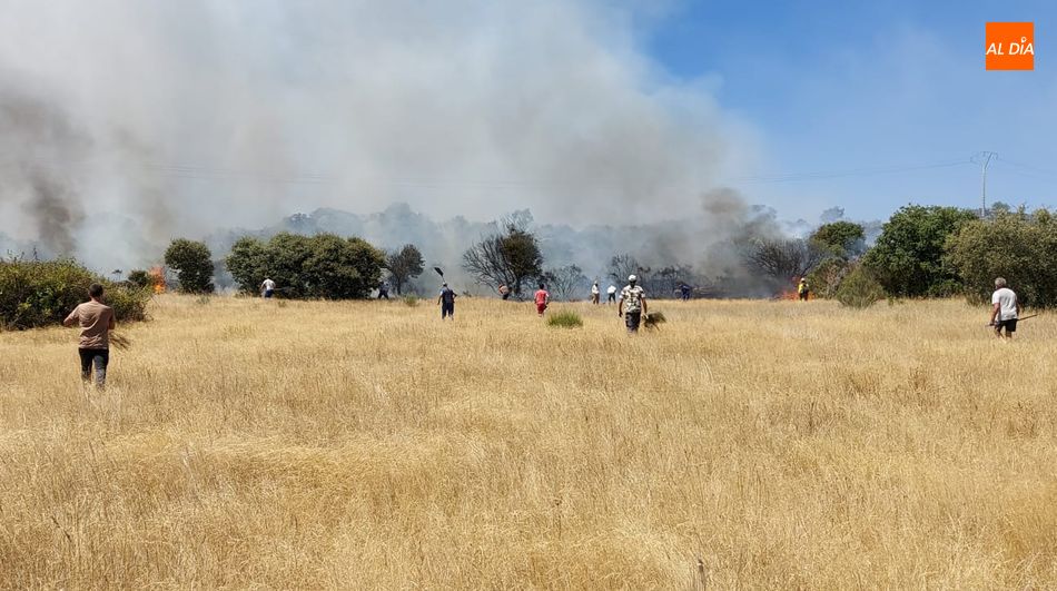 Imagen del fuego del día 17 de agosto en el término de San Felices