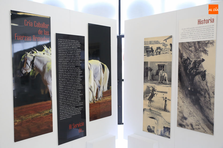 Imagen de una exposición del centro de cría caballar de las Fuerzas Armadas en pasadas ediciones de Salamaq