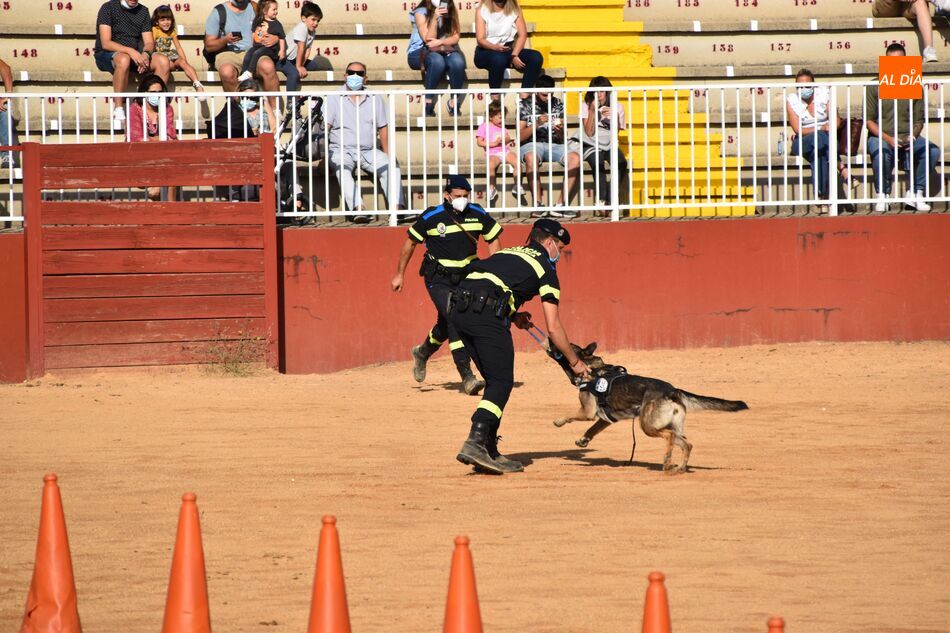 Exhibición del trabajo de los perros que forman parte del proyecto VioCan en Salamaq. Fotos: Vanesa Martins