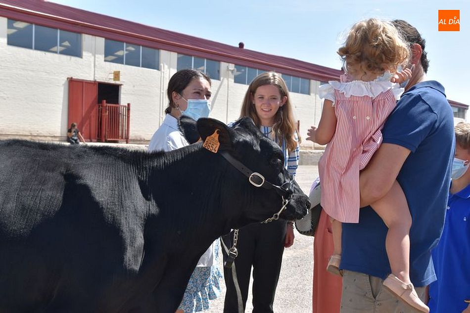Segunda jornada de Salamaq 21 en imágenes