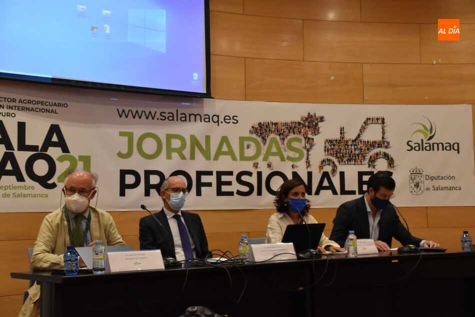 Jornada técnica de Livestock Genetics from Spain, este lunes en Salamaq. Fotos: Vanesa Martins