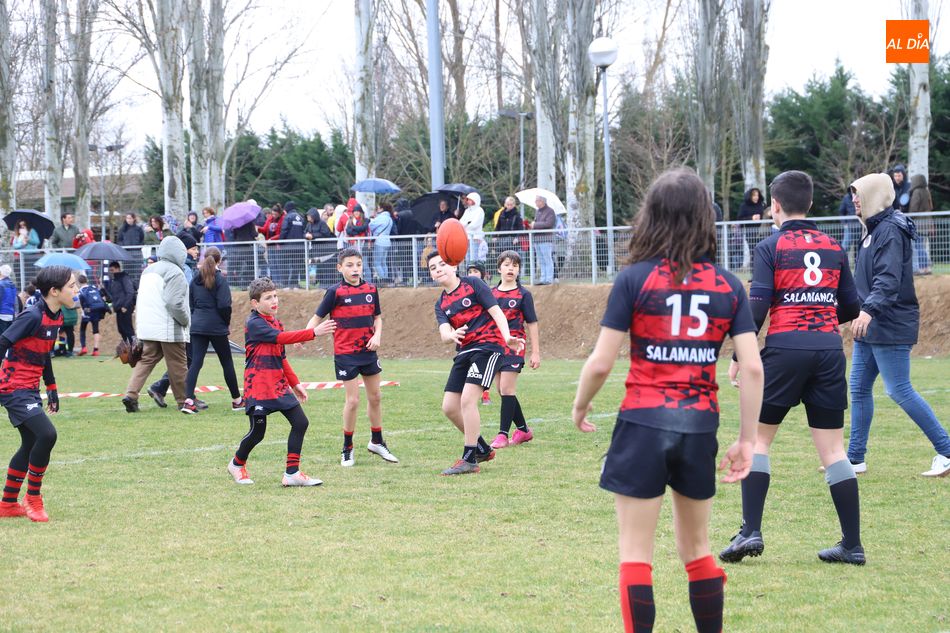 Varios jóvenes juegan al rugby