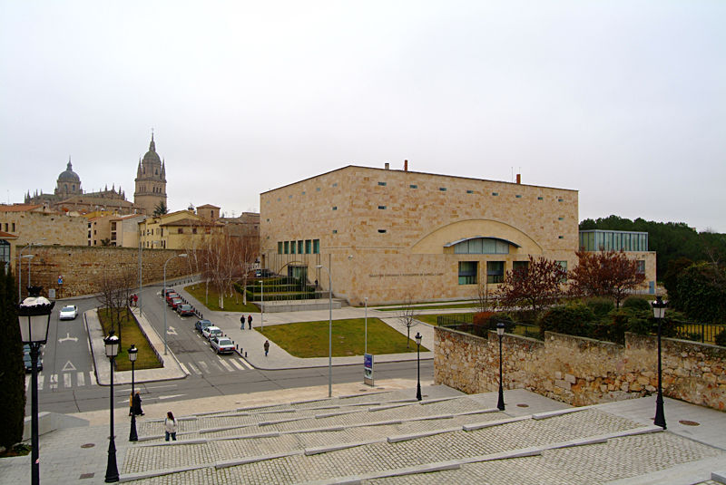 Salamanca acoge la octava Reunión Internacional de Intervencionismo en Cardiopatía Estructural