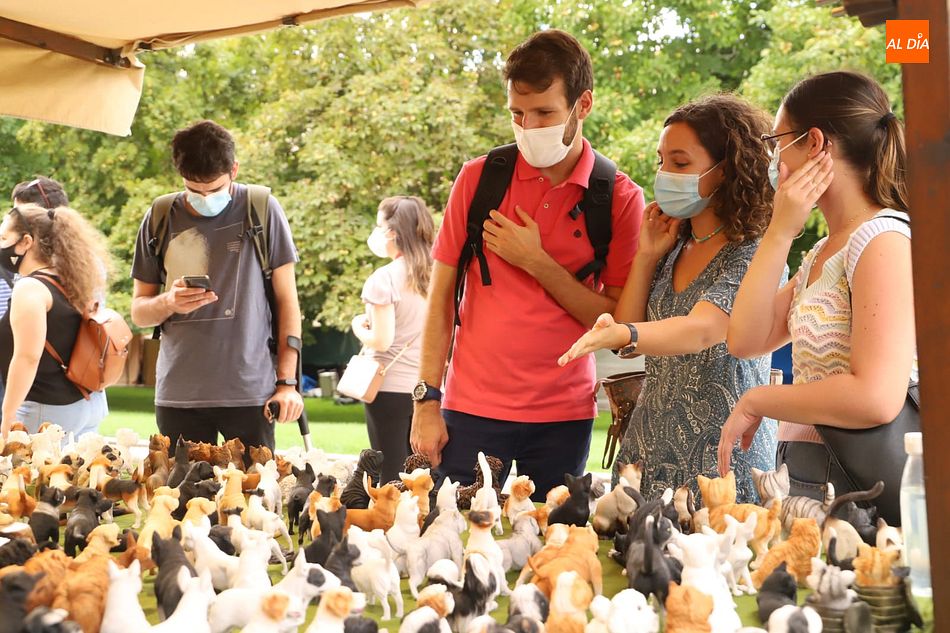 El mercado medieval de Salamanca ofrece variedad de productos artesanales - Fotos: Lydia González