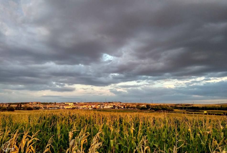 Cuando la tormenta se acerca