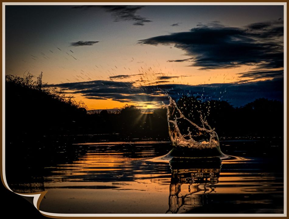 El origen de la vida