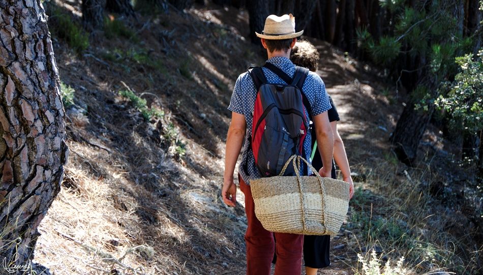 Senderistas en la Sierra de Francia. Foto de Manuel Lamas