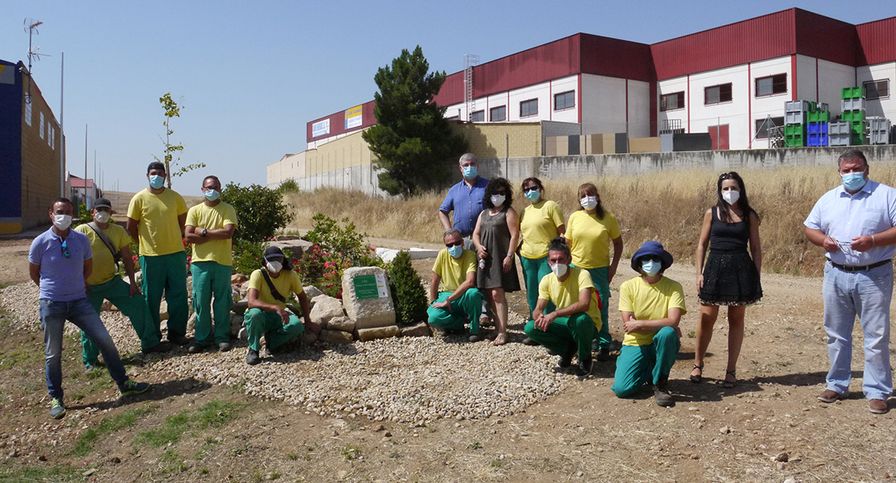 Foto de archico de un programa mixtos de Formación y Empleo en Carbajosa de la Sagrada