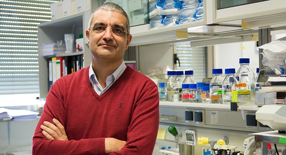 Xosé R. Bustelo, investigador del CIC-IBMCC de Salamanca