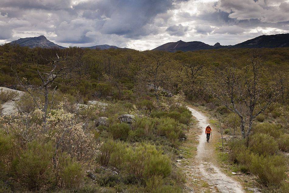 Propuestas para disfrutar de la práctica de senderismo en otoño